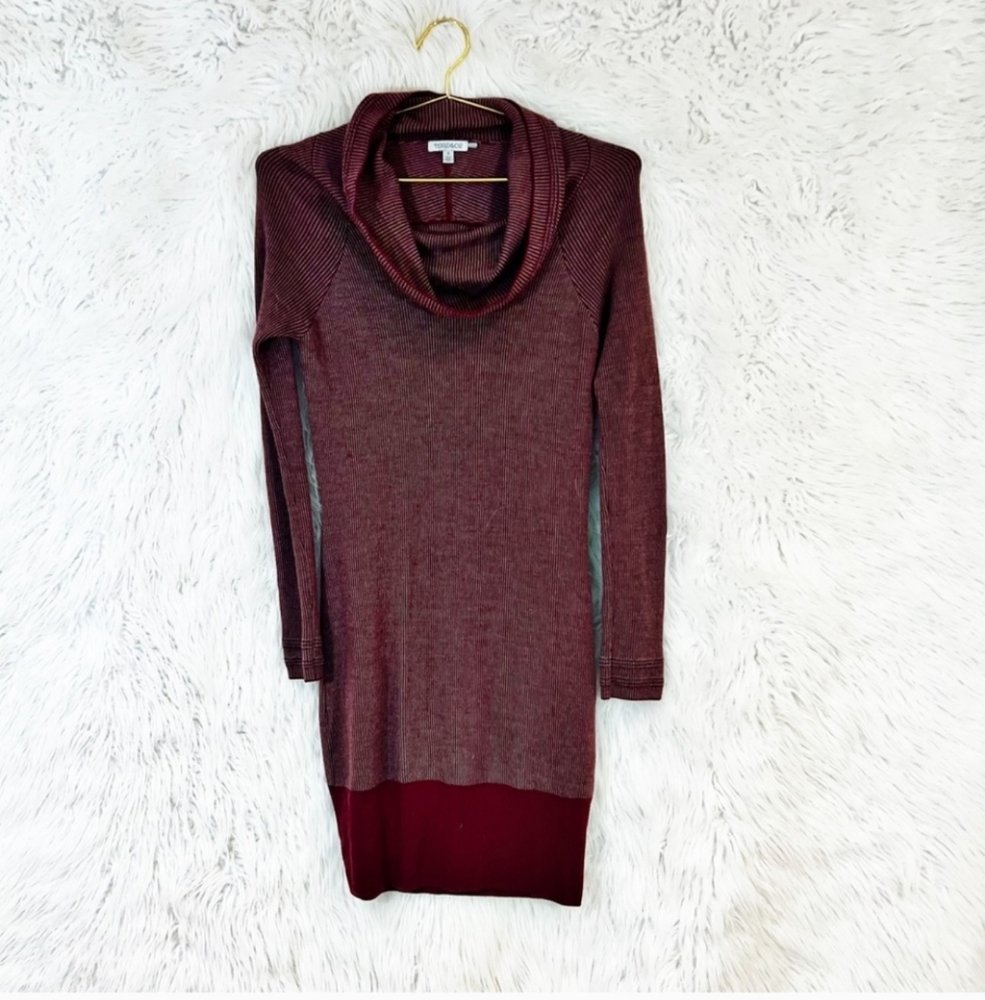 TOAD & Co Uptown cowl neck merino wool sweater dress